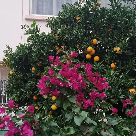 Privat bolig Confort,gare Tgv ,wifi, Clim, Parking, Avec Pt Dejeuner Compris Perpignan