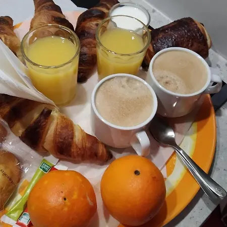 Confort,gare Tgv ,wifi, Clim, Parking, Avec Pt Dejeuner Compris ペルピニャン